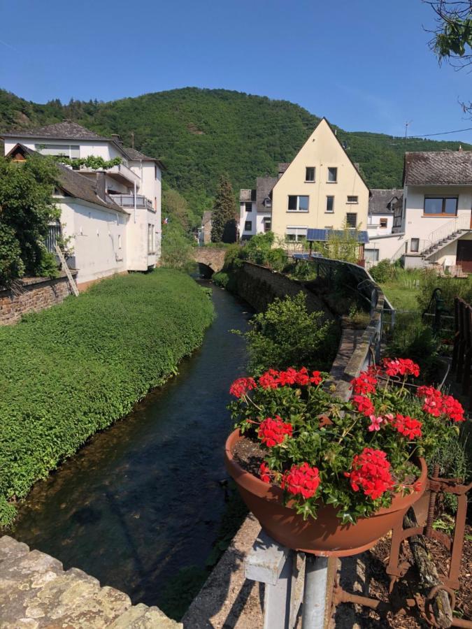Moselburgblick Appartement