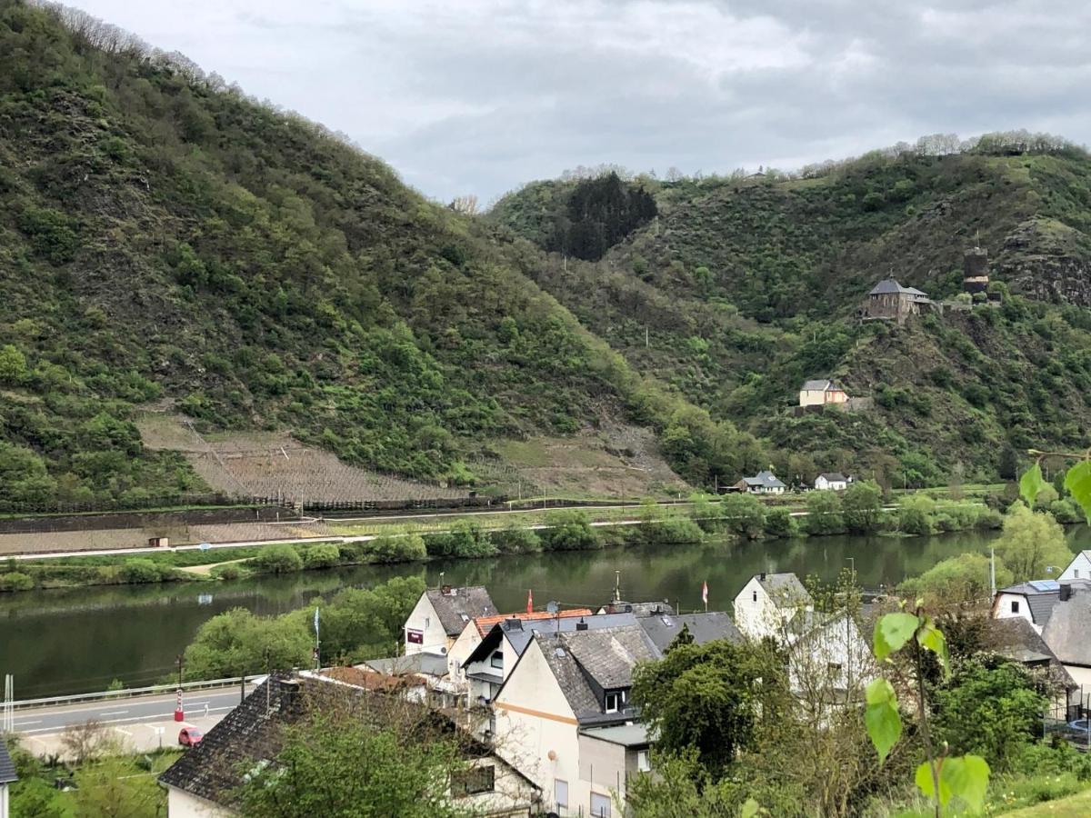 Moselburgblick